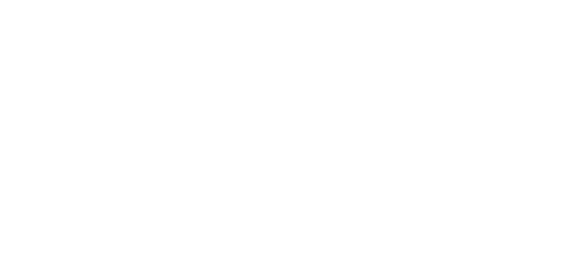 DigitalucX Logo